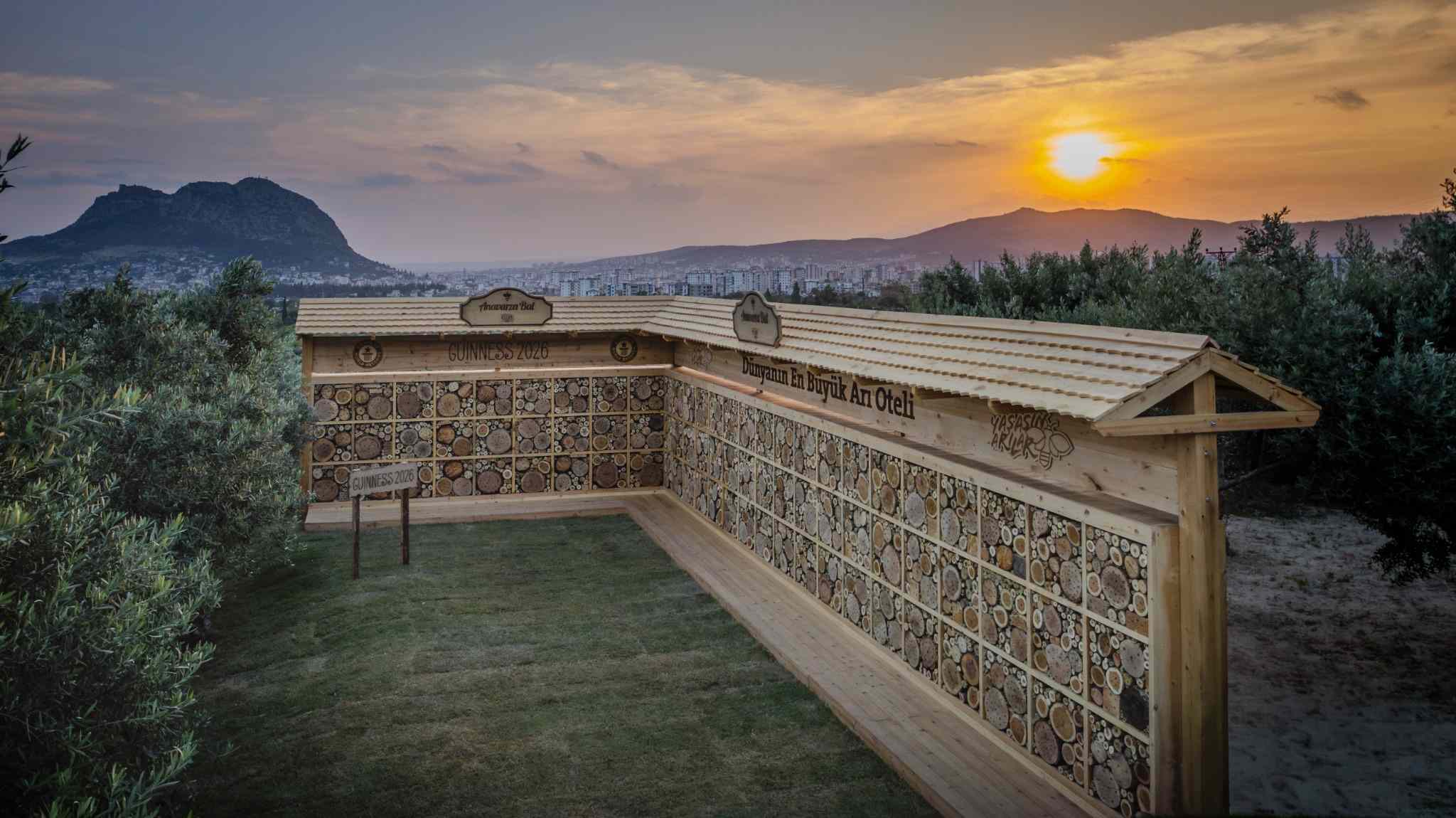 Arı otelinin havadan görünümü