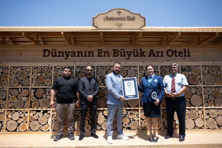 Arı oteli yakın plan