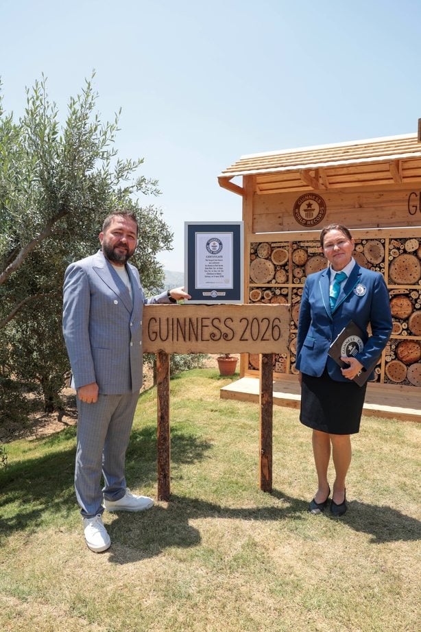 Arı oteli detay görünüm