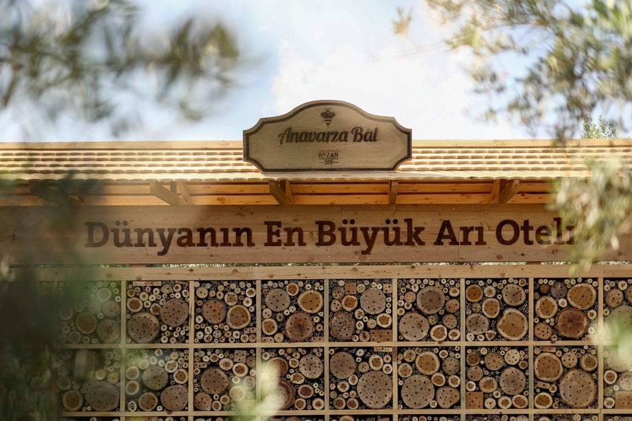Guinness rekortmeni arı oteli
