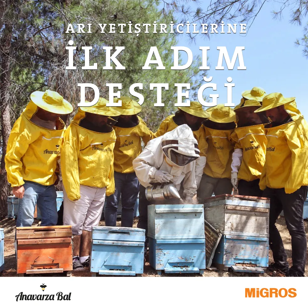 Arı Yetiştiricilerine İlk Adım Desteği görseli