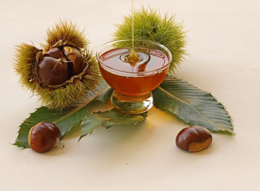 Kestane Balı Nedir?