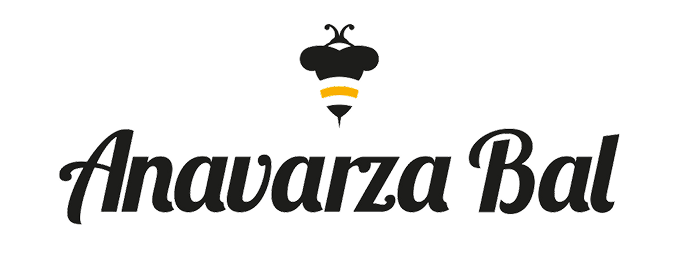 Arılar | Anavarza Bal