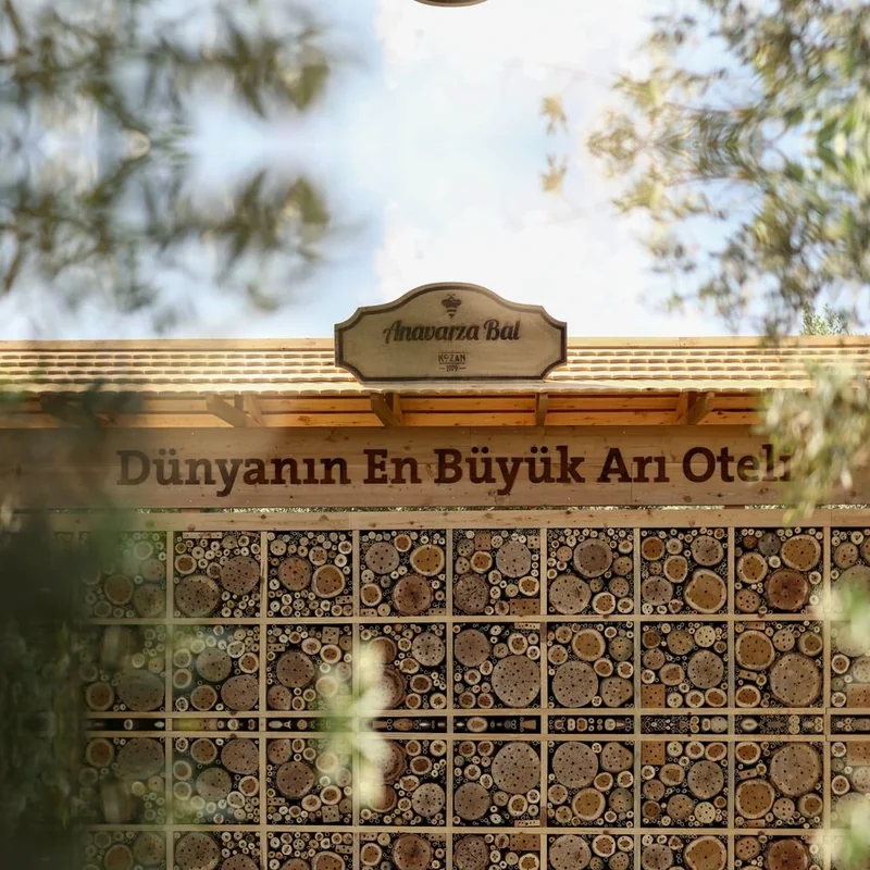 Yaşasın Arılar