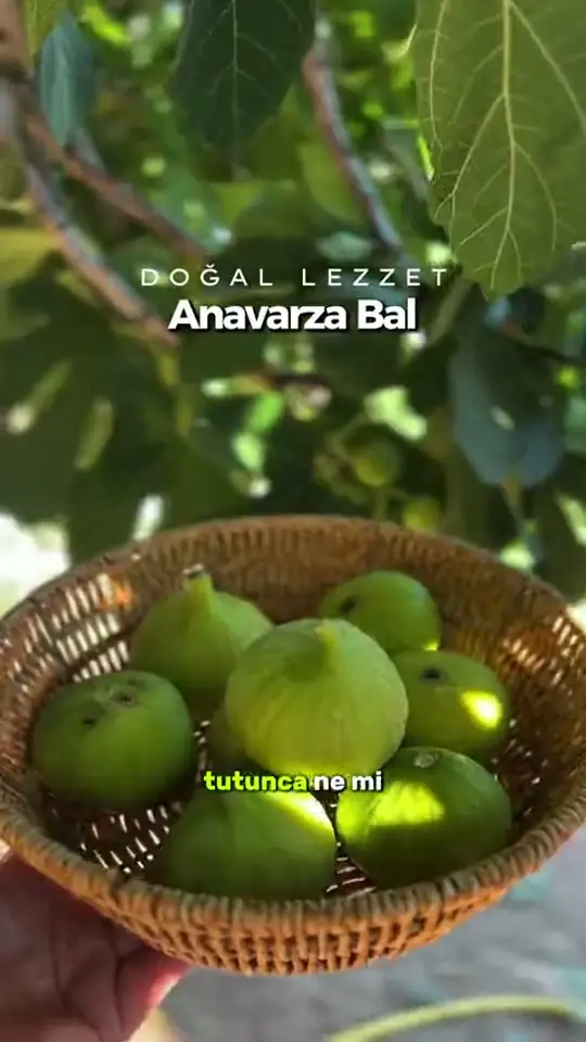 Keven Kekik ve Krem Bal tarifi