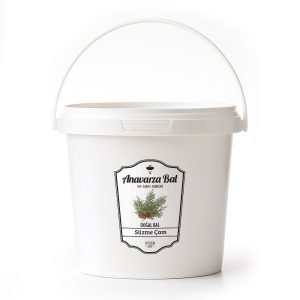 Anavarza Kova Süzme Çam Balı 4kg