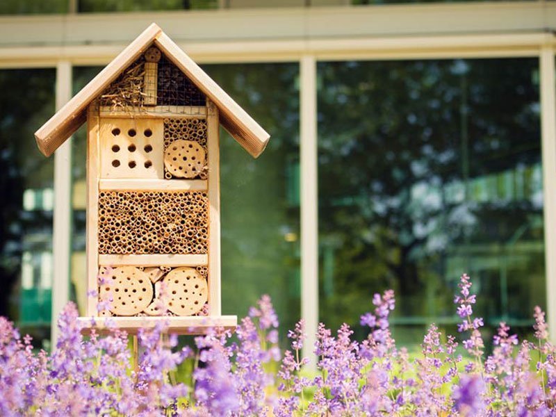 Arı Oteli Nedir? Nasıl Yapılır?